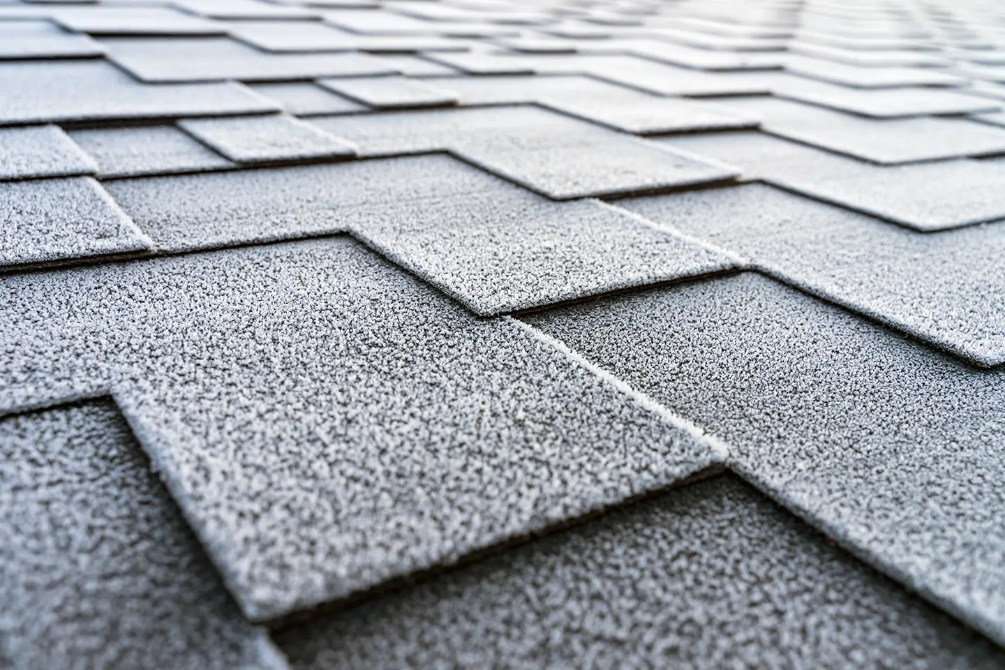 Roofing texture background used behind home service SEO service highlights.